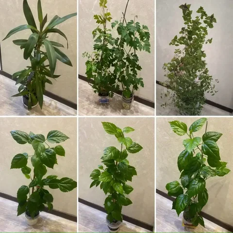 Продажа метровых по и бумаги А4 в Кемерово - Подарки в Кемерово