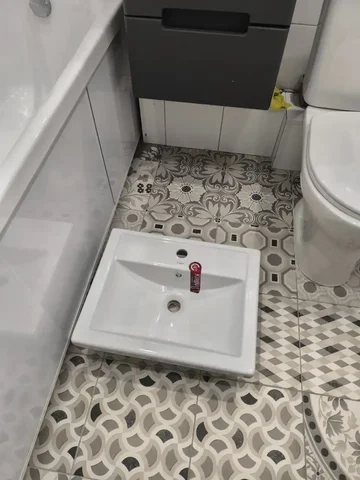 Новая раковина Кировит - Растения в Пенза