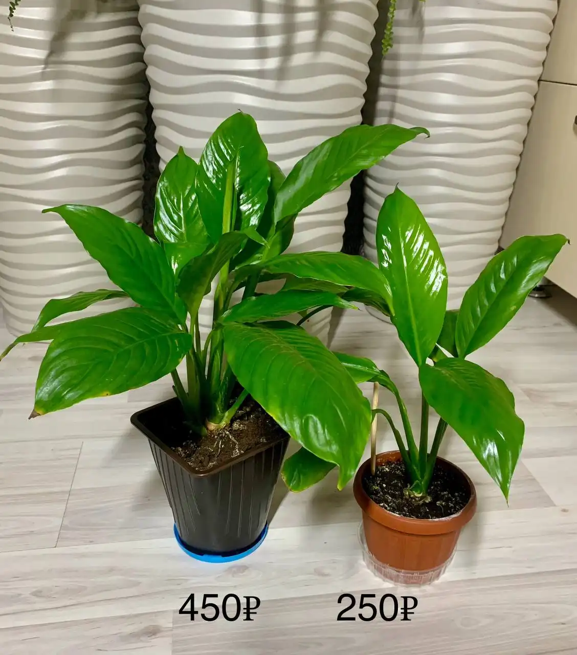 Продажа товара в Лугометрия Пенза