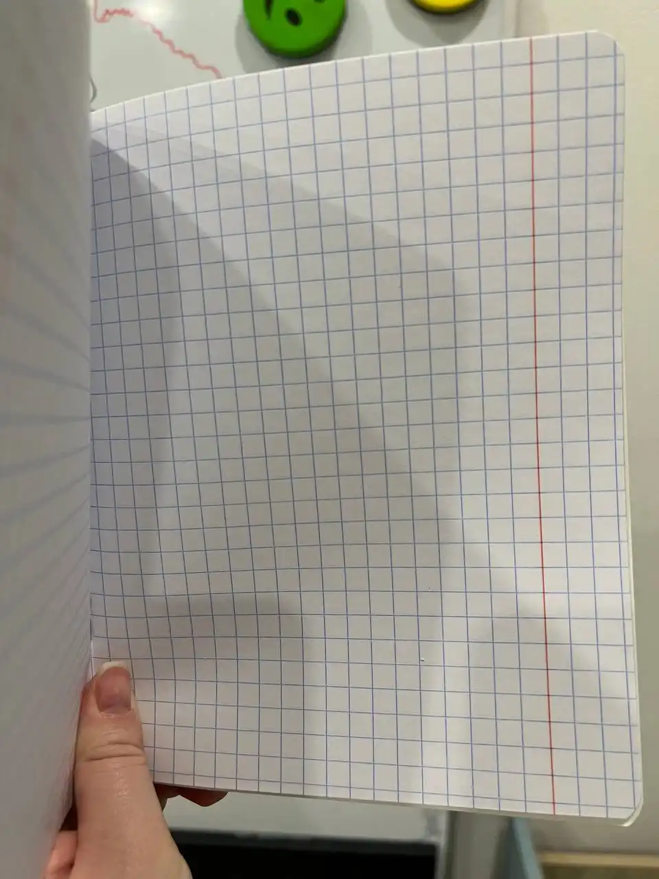 Отдам 12 тетрадей в крупную клетку бесплатно