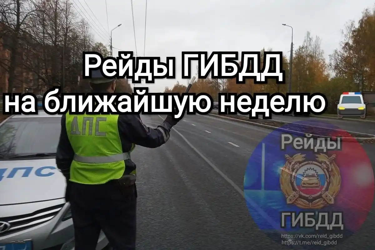Рейды ГИБДД на ближайшую неделю