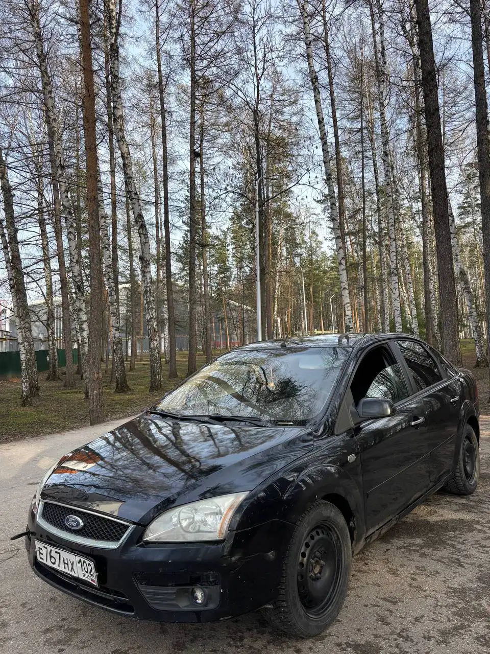 Ford Focus 2008 года с зеленым отчетом автотеки - Легковые автомобили (Авто) в Челябинск