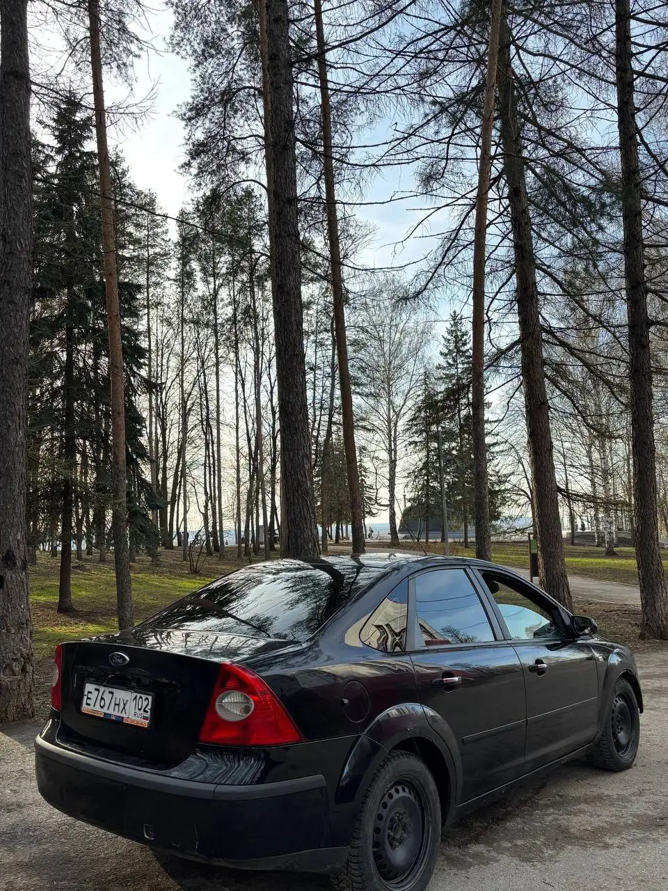 Ford Focus 2008 года с зеленым отчетом автотеки - Легковые автомобили (Авто) в Челябинск