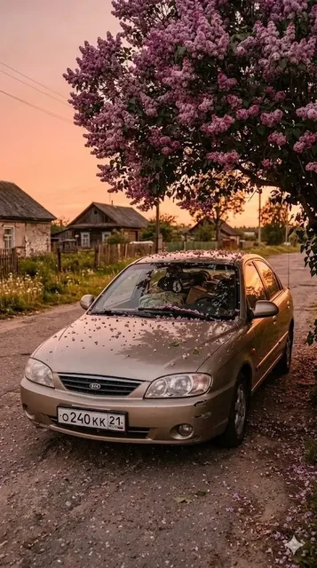 Kia Spectra 2008 - Легковые автомобили в Чебоксары