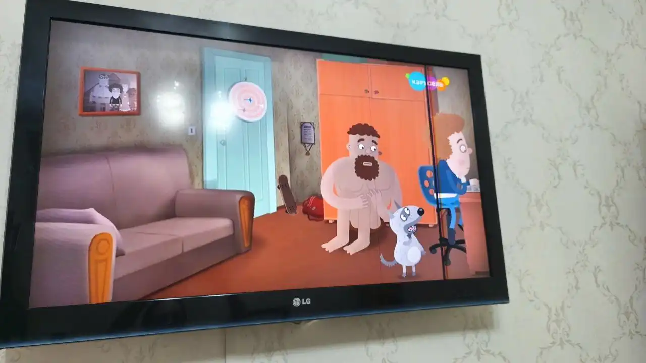 Телевизор с небольшим дефектом