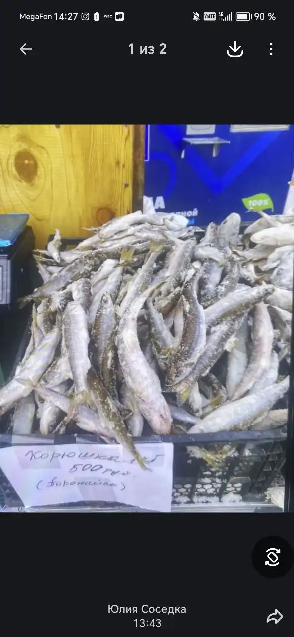 Продажа рыбы в Южно-Сахалинске