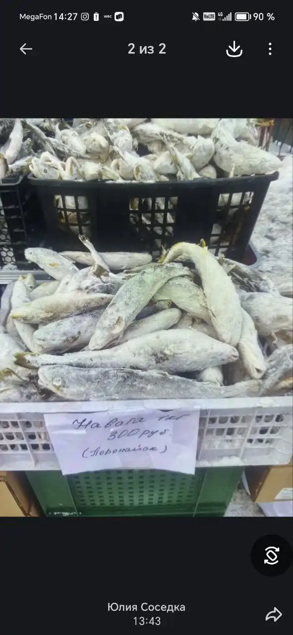 Продажа рыбы в Южно-Сахалинске