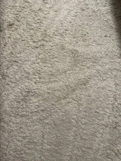 Бесплатный ковер б/у 4x2.5 - частное объявление в Южно-Сахалинск