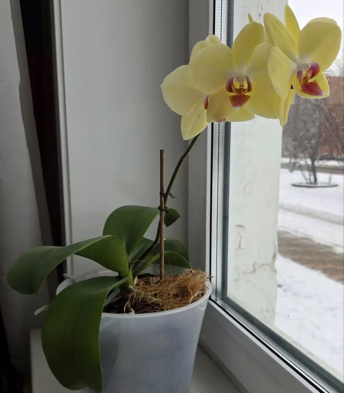 Продам товар в Южно-Сахалинске - Барахолка в Южно-Сахалинск