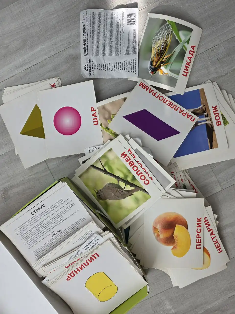 Карточки для малышей с фактами и заданиями - Развивающие игрушки (Товары для детей) в Южно-Сахалинск