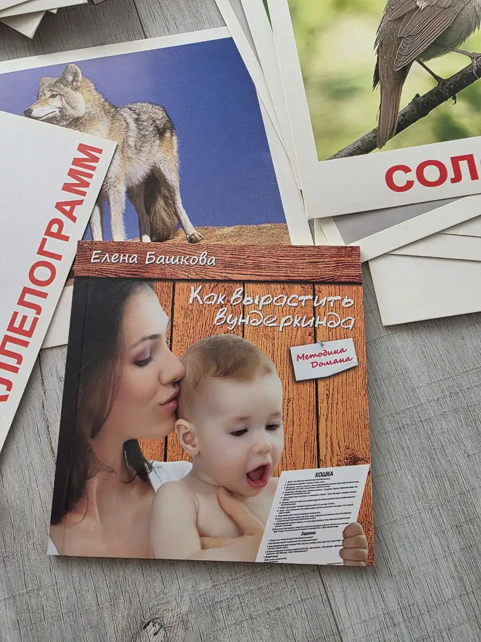 Карточки для малышей с фактами и заданиями - Развивающие игрушки (Товары для детей) в Южно-Сахалинск