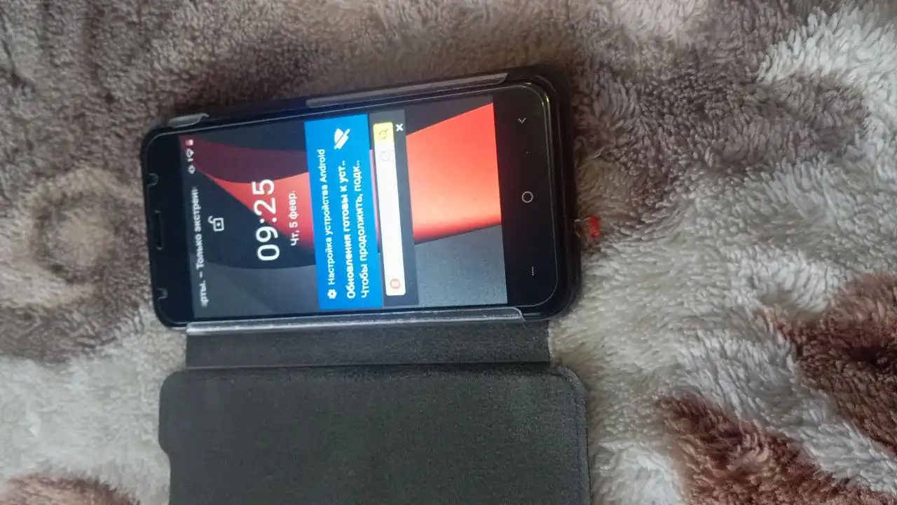 Отдам за большую пиццу - Барахолка в Южно-Сахалинск