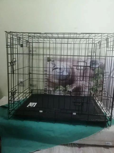 Клетка для животных с двумя дверками - Рыба в Южно-Сахалинск