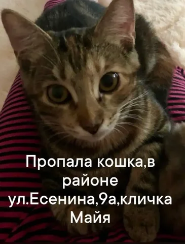 Продам автомобиль Mazda CX-5 - Авто в Южно-Сахалинск