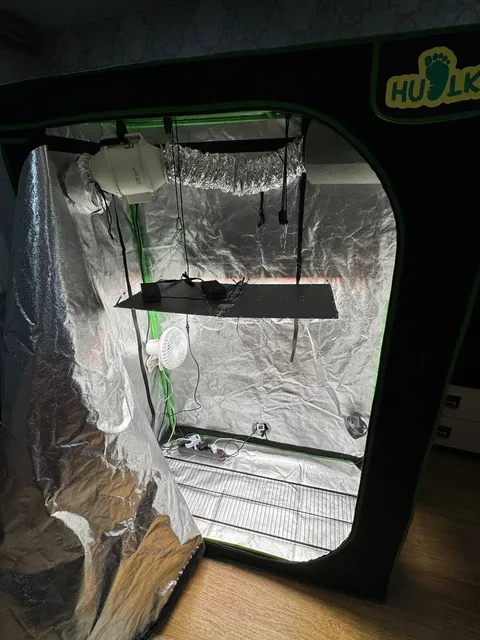 Продам бокс для выращивания растений 120/60/180 - Музыкальные инструменты в Южно-Сахалинск