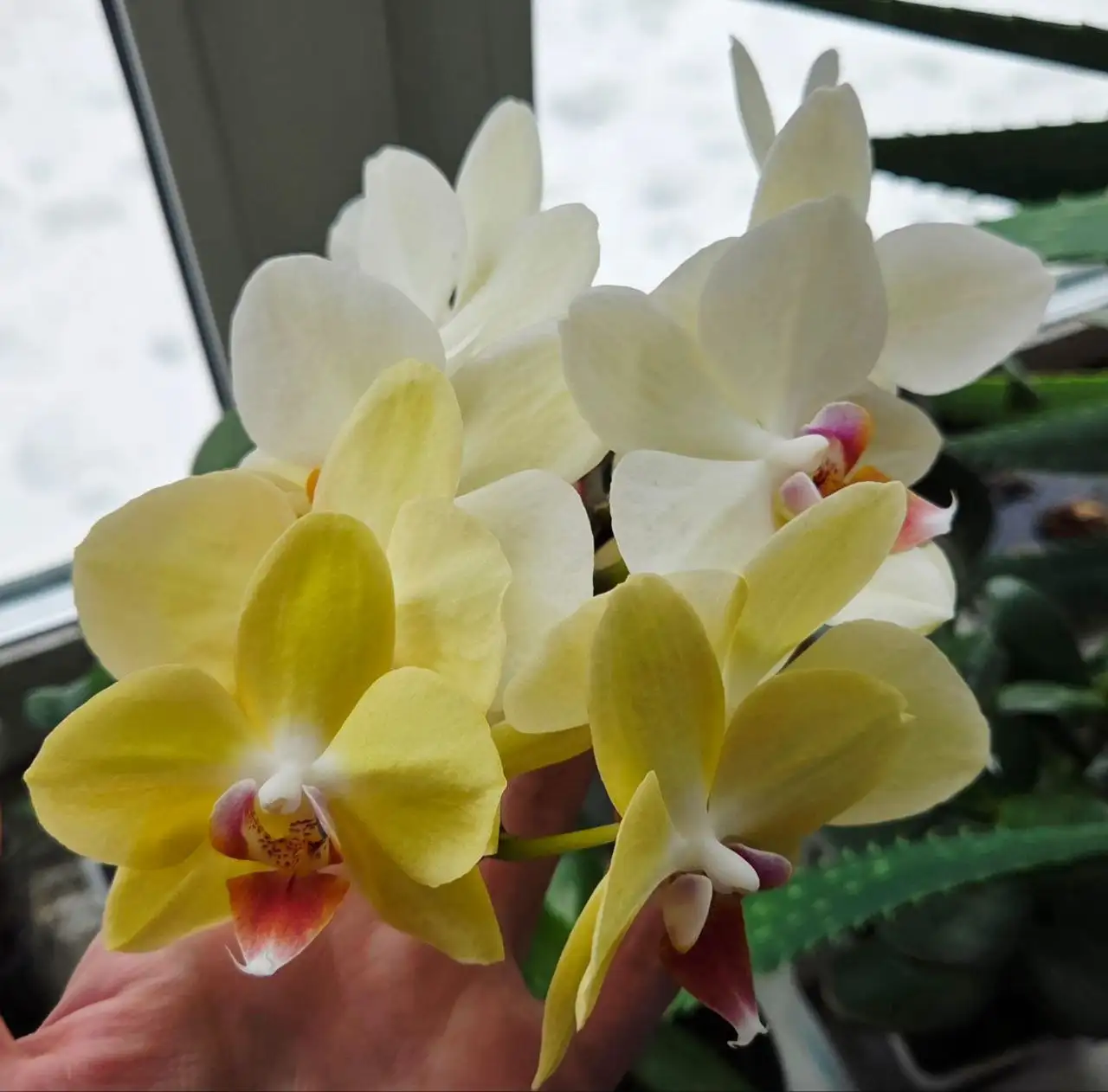 Продам товар - Барахолка в Южно-Сахалинск