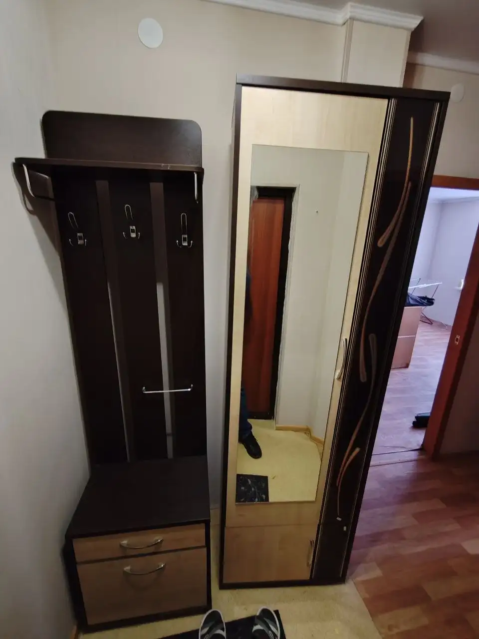 Продам большой шкаф и прихожку - Мебель (Для дома и дачи) в Южно-Сахалинск