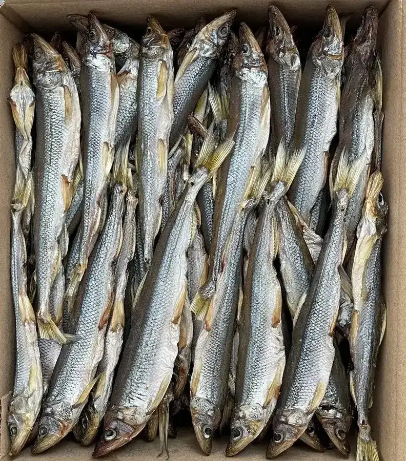 Продажа зубатки и корюшки - Рыба (Барахолка) в Южно-Сахалинск