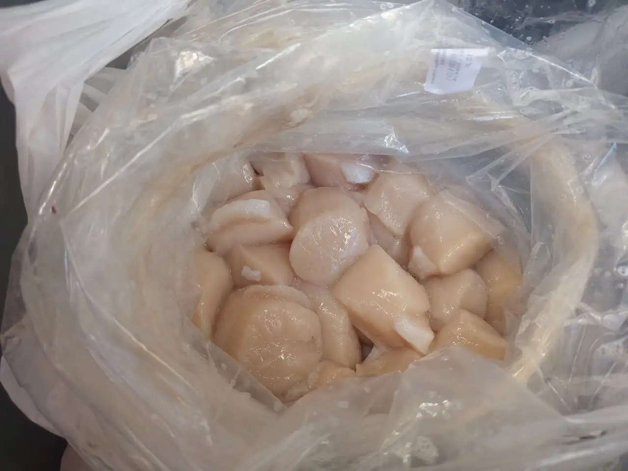 Свежий гребешок с доставкой по Южно-Сахалинску - Морепродукты (Еда) в Южно-Сахалинск