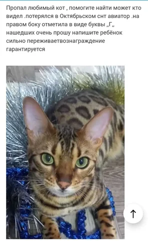 8914 095 33 69 южный - Квартиры в Южно-Сахалинск