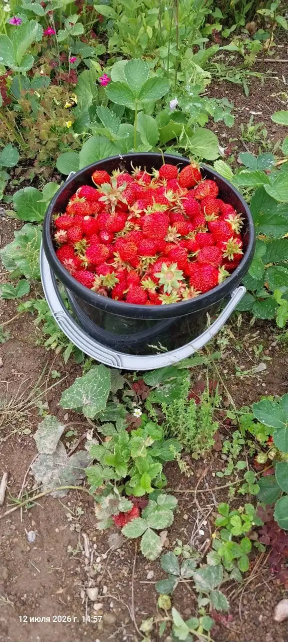 Продам 7 л - Авто в Южно-Сахалинск