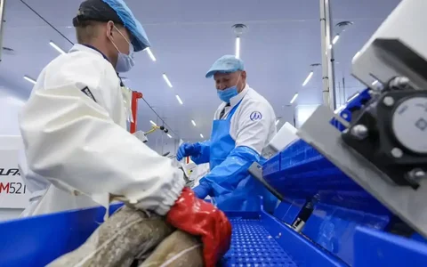 Работа рыбо-обработчиком на заводе в Стародубское - частное объявление в Южно-Сахалинск