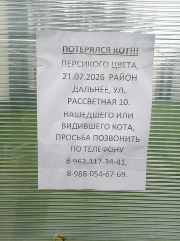SUV 280 000 км, торг - Мопеды и скутеры в Неизвестно