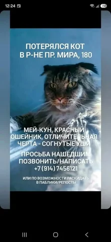Сдам в аренду однокомнатную квартиру в Южном - частное объявление в Южно-Сахалинск