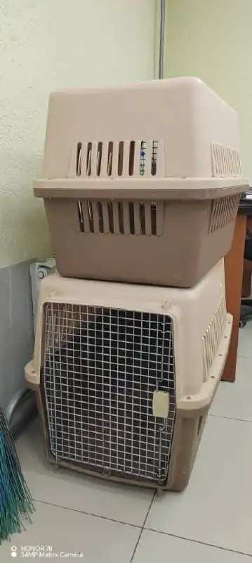 Продам две переноски для собак