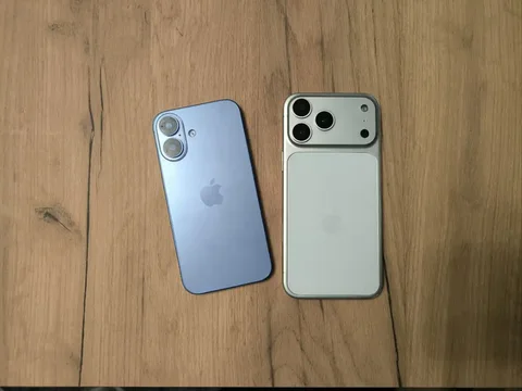 Муляжи - Барахолка в Абакан