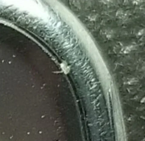 Продажа ноутбука в Минюсинске - частное объявление в Минюсинск