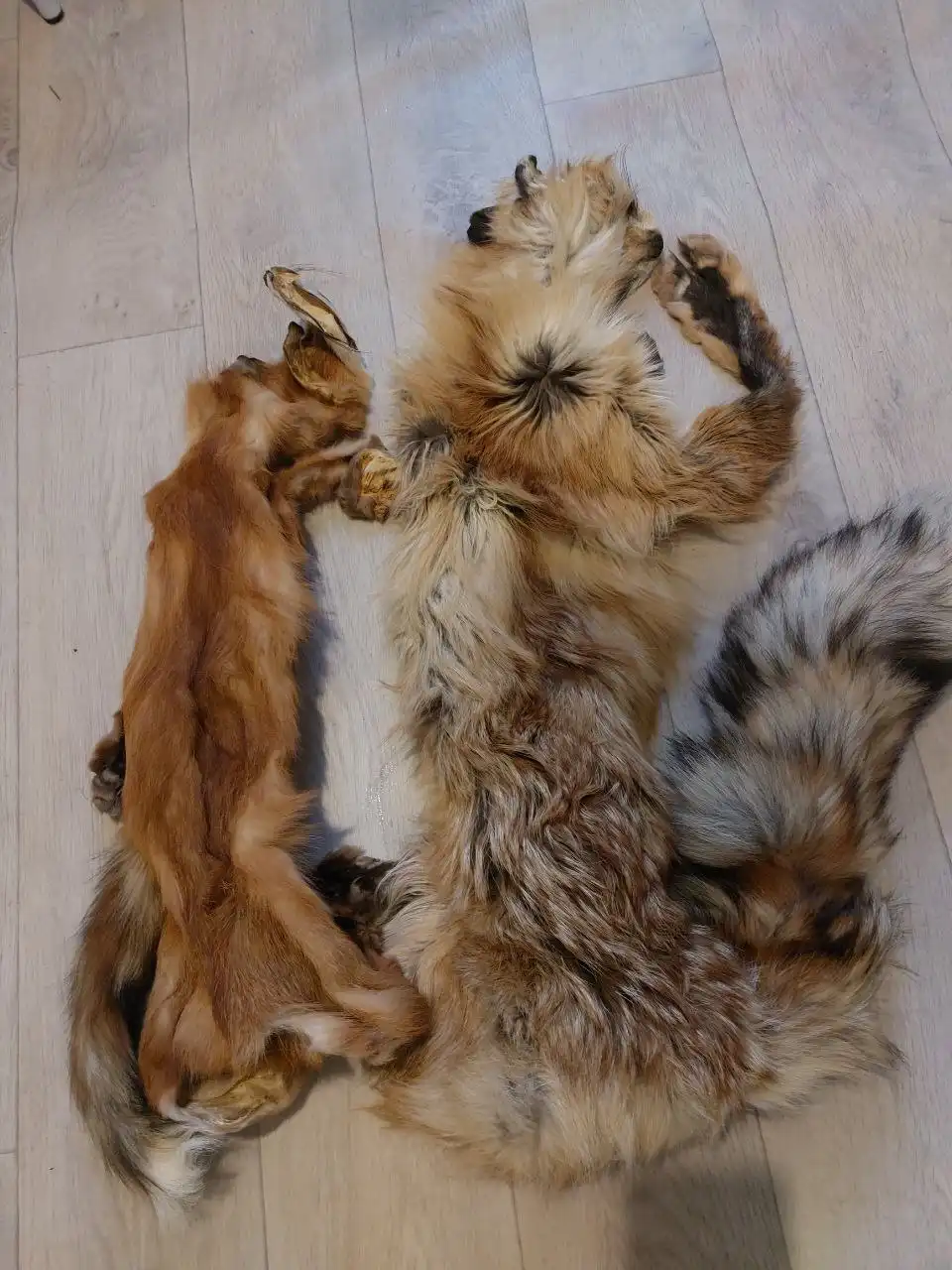 Отдам за символическую плату - Барахолка в Минусинск