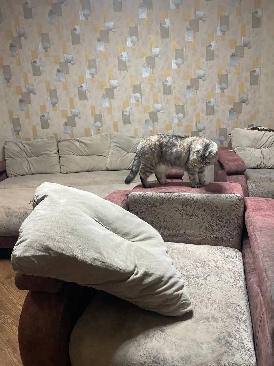 Кресло, отдам бесплатно - Барахолка в Минусинск