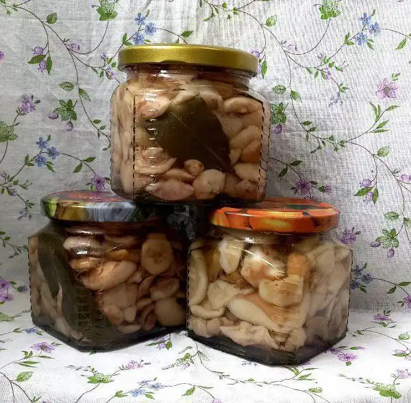 Продажа домашних консервов и заготовок - Продукты питания (Барахолка) в Минусинск