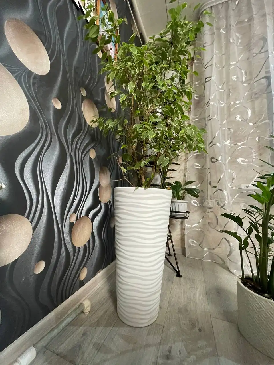 Продам фикус с кашпо - Растения (Для дома и дачи) в Минусинск