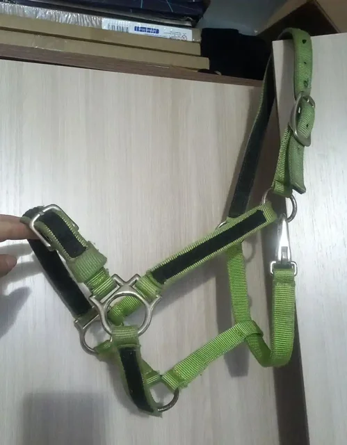 Продам недоуздок для лошади - Инкубаторы в Минусинск