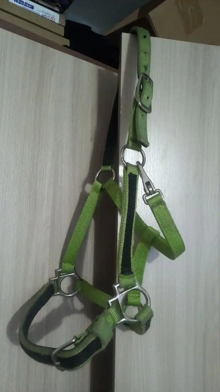 Продам недоуздок для лошади - Товары для животных (Барахолка) в Минусинск