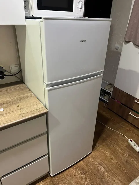 Продам холодильник Centek в идеальном состоянии - Растения в Абакан