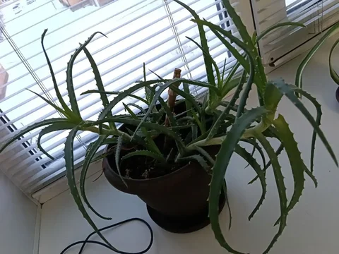 Объявление из чата барахолки - Барахолка в Минусинск