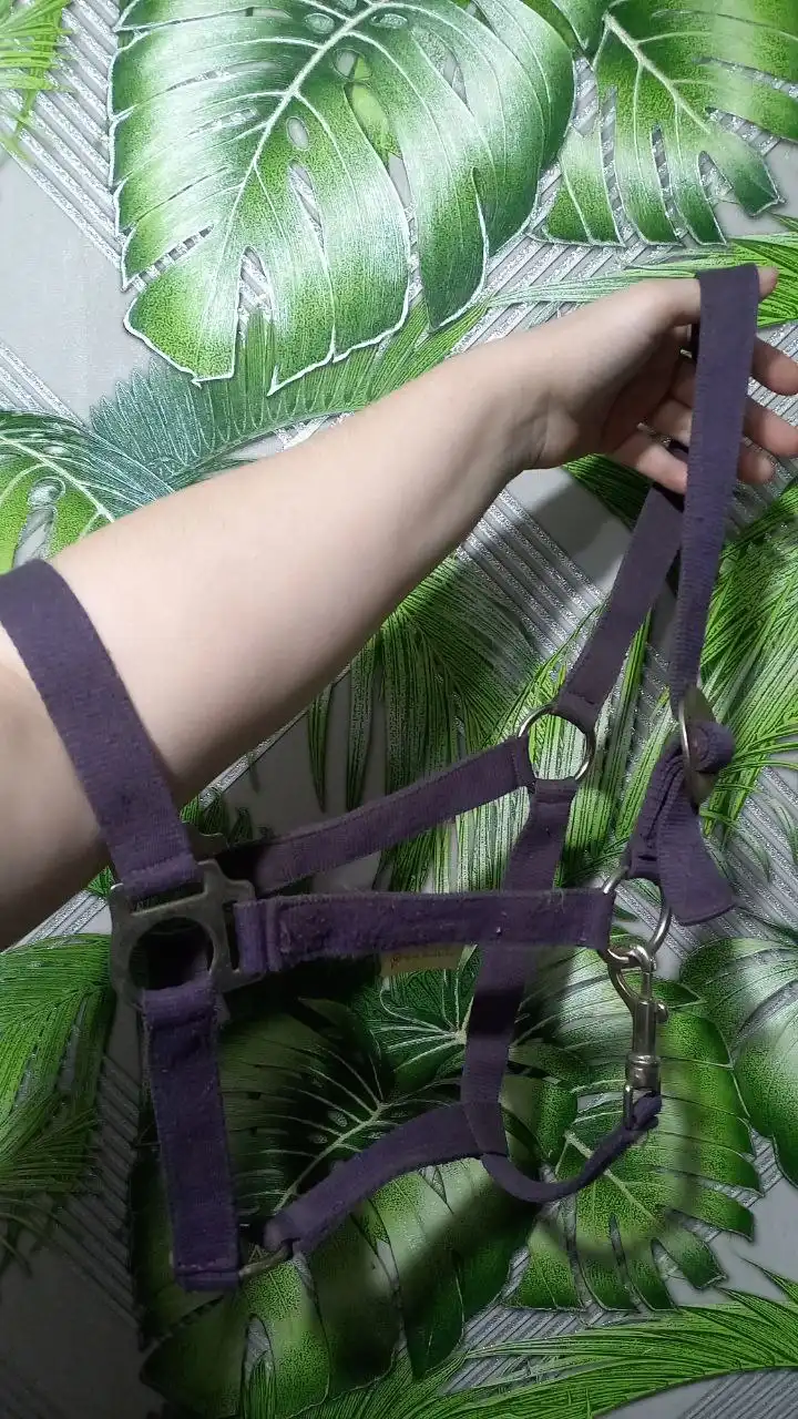 Продам недоуздок для лошади фирмы Вальтхаусен - Барахолка в Минусинск