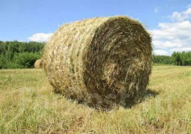Продам сено в Идринском районе - Барахолка в Идринское
