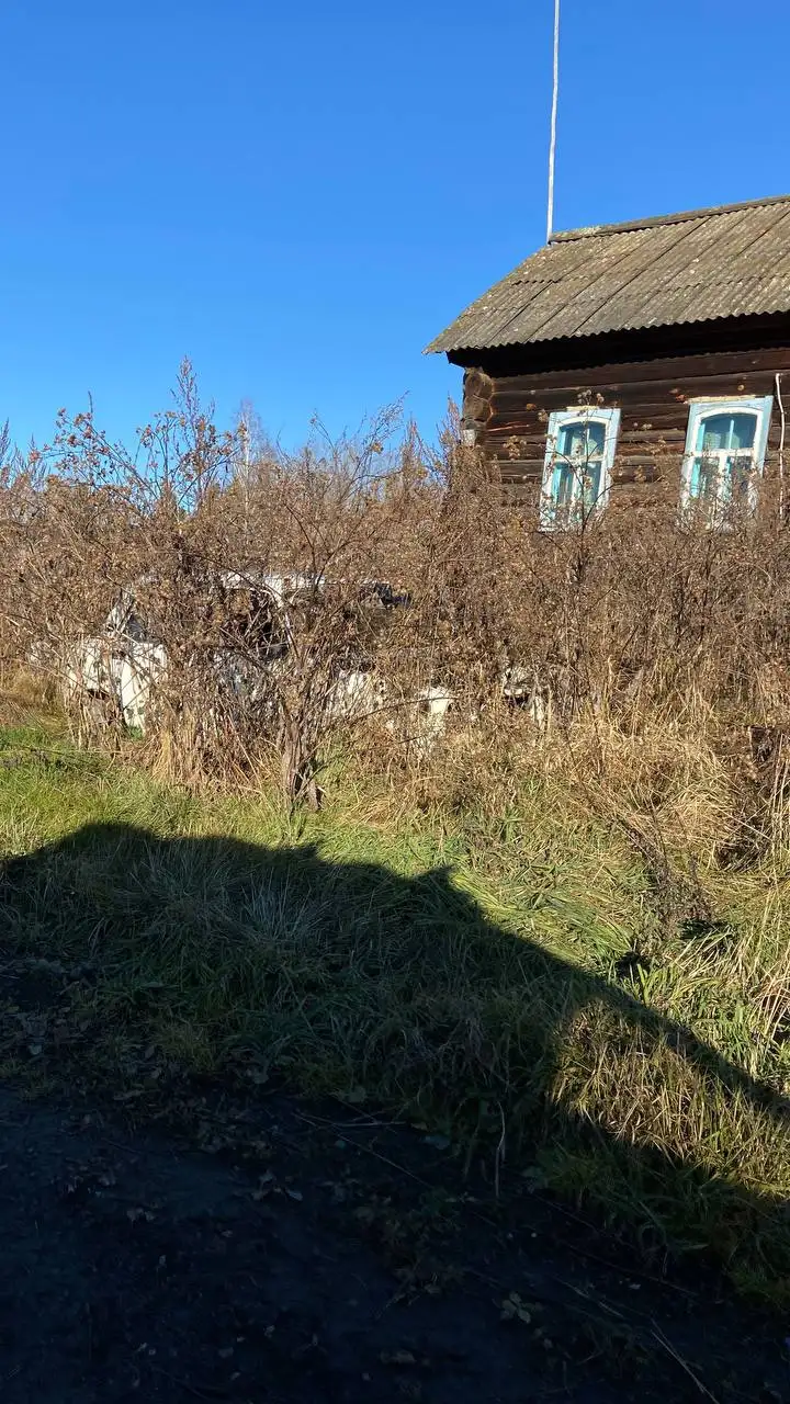 Разгрузка угля в Минусинске - Грузчики/Разгрузка (Услуги) в Минусинск