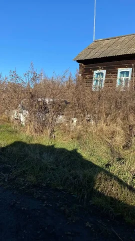 Разгрузка угля в Минусинске - Грузчики/Разгрузка в Минусинск