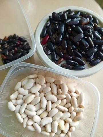 Продажа семян фасоли трех сортов - Продукты питания в Минусинск