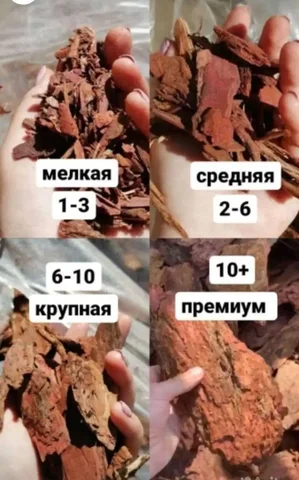 Кора лиственницы - совместный закуп - Часы в Минусинск