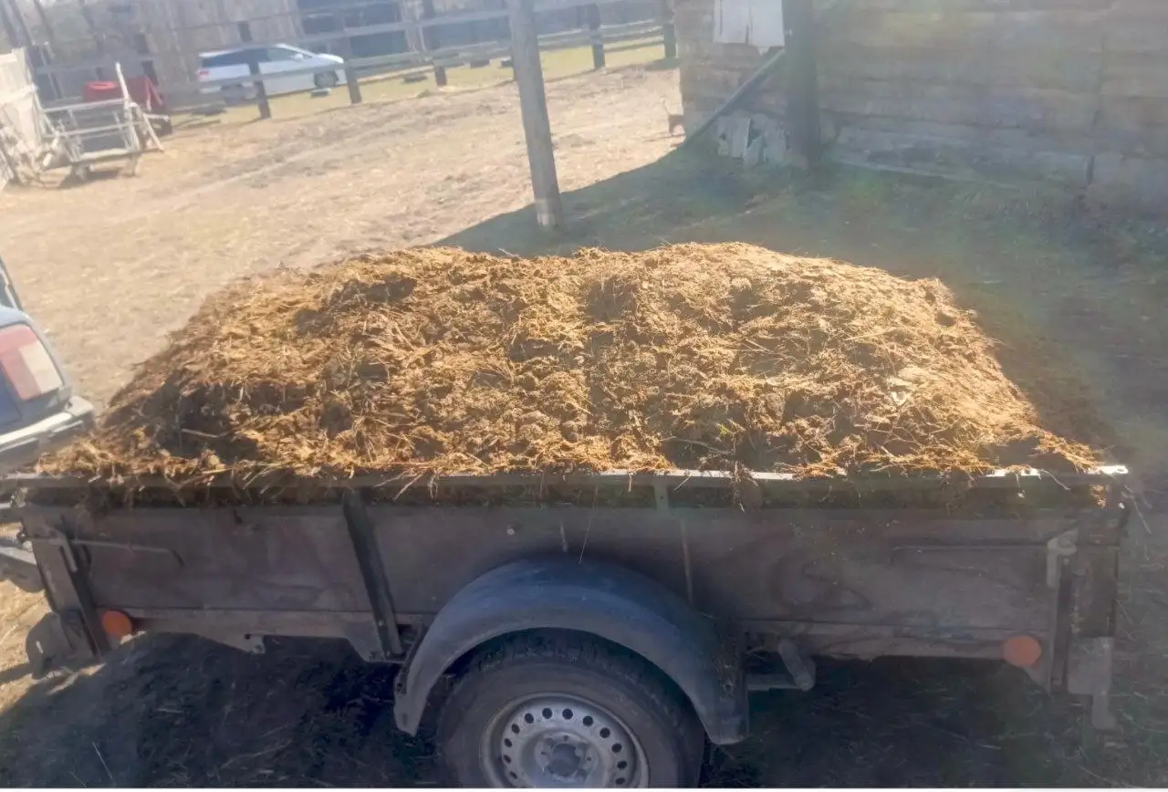 Продам конский навоз - Барахолка в Минусинск