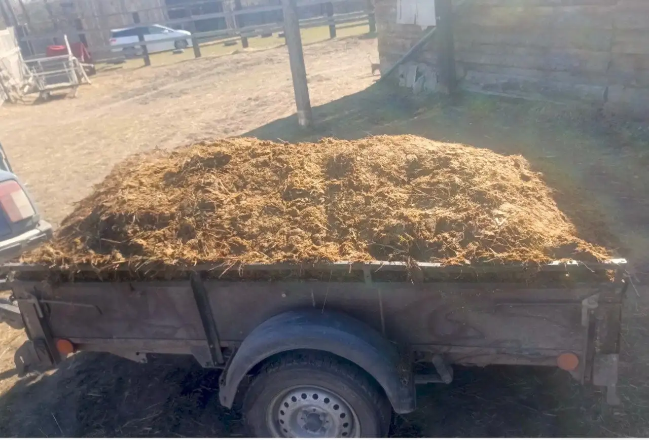 Конский навоз чистый без опилок - Товары для сада/огорода (Барахолка) в Минусинск