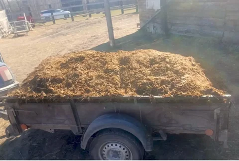 Конский навоз чистый без опилок - Товары для сада/огорода в Минусинск