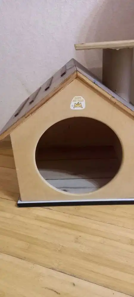 Кот Тишка 3 года в добрые руки