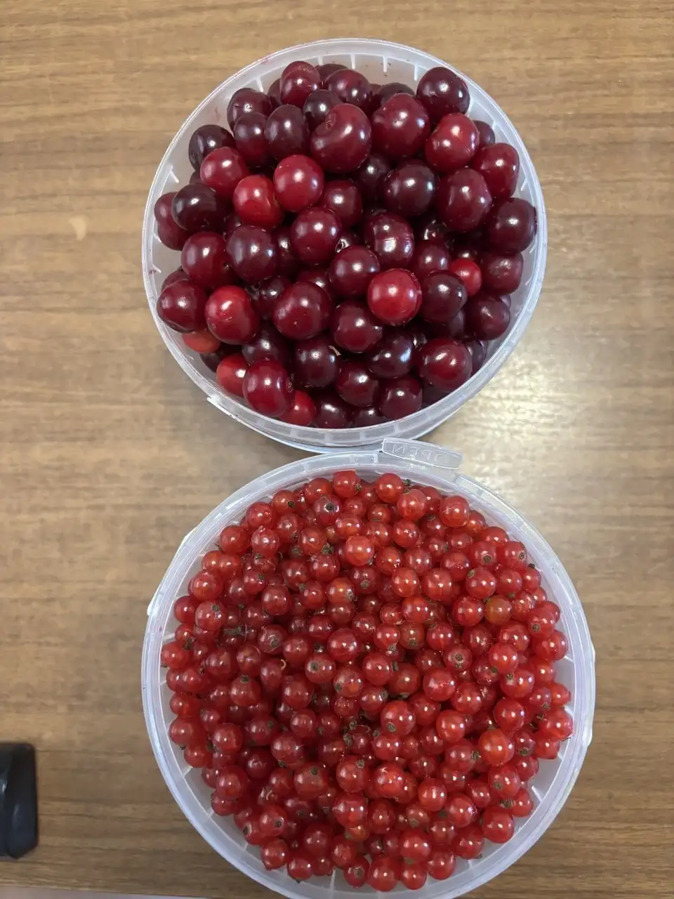 Продажа ягоды: вишня, смородина - Ягоды (Продукты питания) в Кудряши